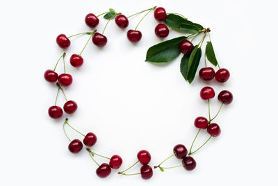 Directly above shot of cherries over white background