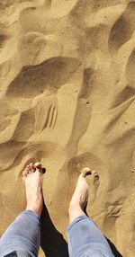 Low section of a person standing on sand