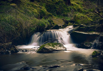 Scenic view of waterfall