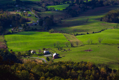 High angle view of agricultural field