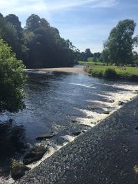 River with trees in background