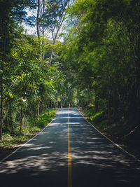 Road amidst trees in forest