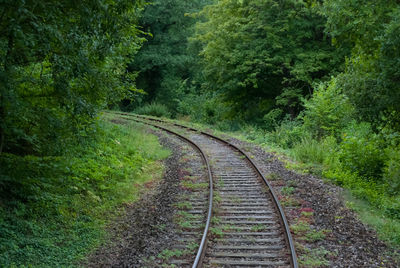 Railway tracks amidst trees on landscape