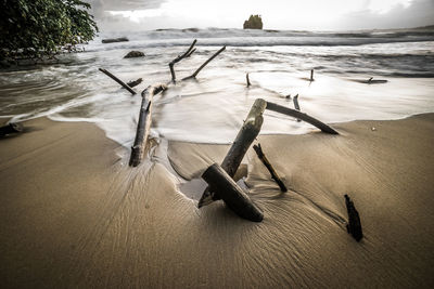 Driftwood on beach against sky