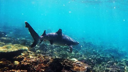 People swimming in sea