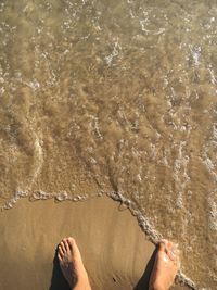 Low section of person on shore at beach