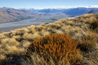 wilderness