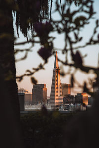 Buildings in city