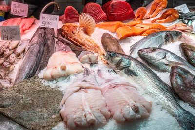 High angle view of seafood for sale at market stall