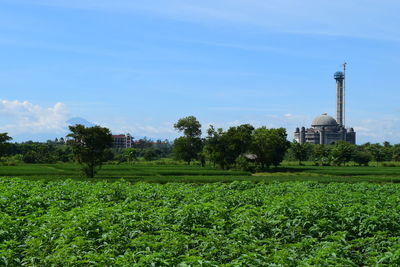 Scenic view of farm against sky