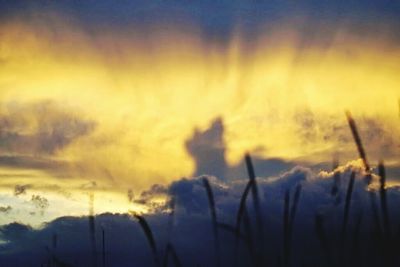 Scenic view of landscape against sky at sunset