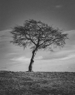 Tree in sea against sky