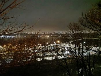 Illuminated bare trees against sky at night during winter