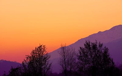 Silhouette trees against sky during sunset