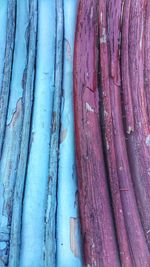 Detail shot of tree trunk