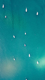 High angle view of sailboats in sea