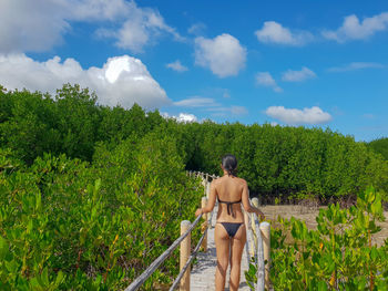 Rear view of woman in bikini standing on boardwalk against sky