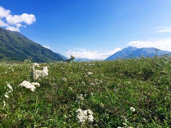 Scenic view of landscape against cloudy sky