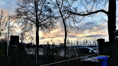 Bare trees against cloudy sky