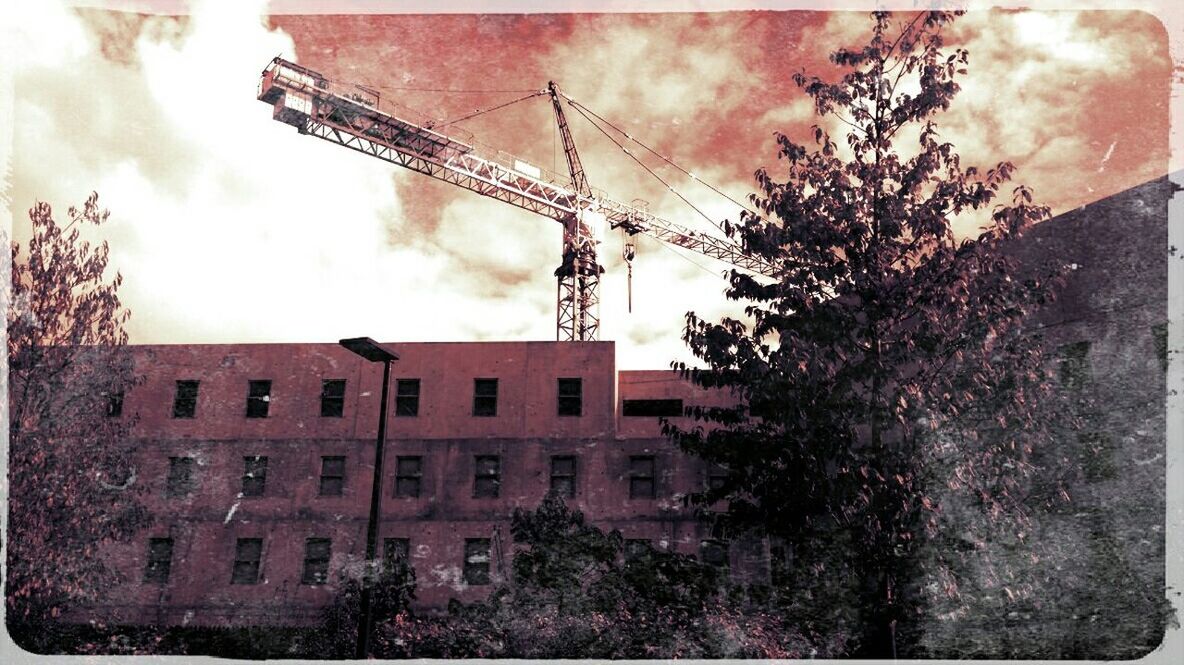 building exterior, architecture, built structure, sky, tree, low angle view, cloud - sky, cloudy, building, residential building, residential structure, growth, overcast, house, outdoors, city, auto post production filter, branch, day, weather