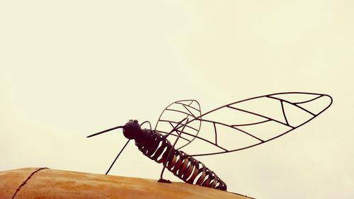 Close-up of insect perching on pole against clear sky