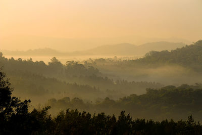 Scenic view of trees against sky during sunset