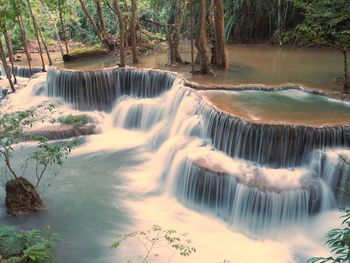 Scenic view of waterfall in forest