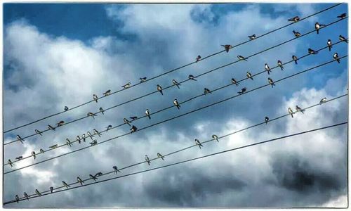 Low angle view of power lines against cloudy sky