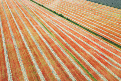 Full frame shot of multi colored land