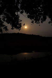 Silhouette of trees at sunset