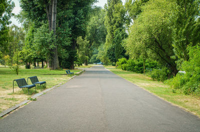 Road amidst trees in park