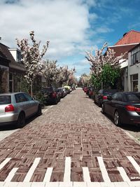 Cars on road against sky