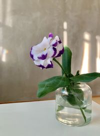 Close-up of purple flower in glass vase on table