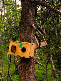 Close-up of birdhouse on tree trunk