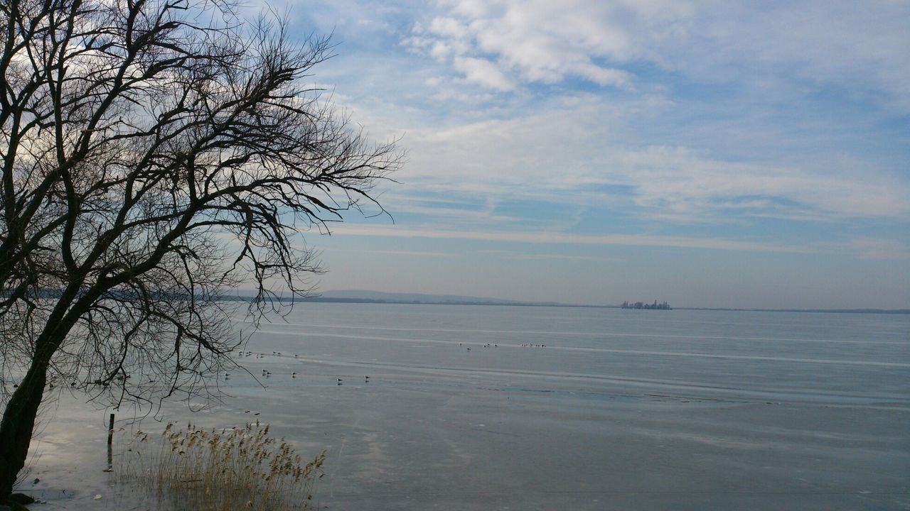 tranquility, sky, water, tranquil scene, tree, scenics, beauty in nature, bare tree, sea, nature, cloud - sky, branch, horizon over water, cloud, idyllic, cloudy, non-urban scene, beach, shore, lake