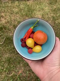 High angle view of hand holding fruits in bowl