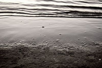 Surface level of sandy beach