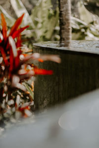 Close-up of water splashing