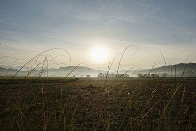 Scenic view of field against sky during sunset