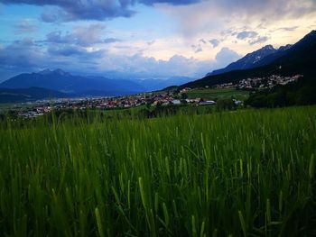 Scenic view of agricultural field against sky