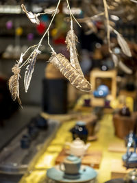 Close-up of fruits hanging on display at store