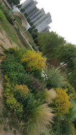 High angle view of trees and buildings against sky
