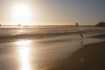 Scenic view of sea at sunset