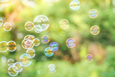 Close-up of bubbles against blurred background