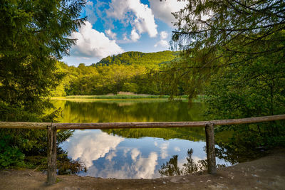 Scenic view of lake and trees against sky