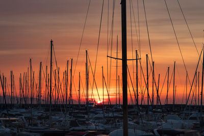 Sailboats in marina at sunset