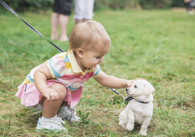 Portrait of cute boy playing with puppies on grass
