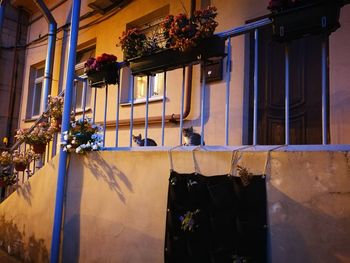 Flowers hanging on window