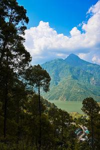 High angle view of trees and mountains against sky