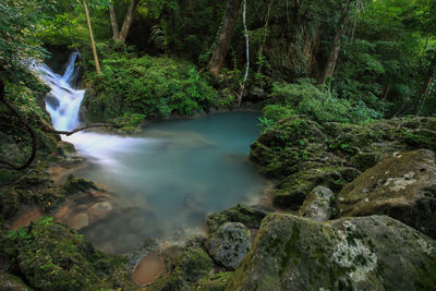 Stream flowing through rocks in forest